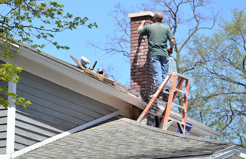 Chimney & Fireplace Inspections Services in Rosemount, MN